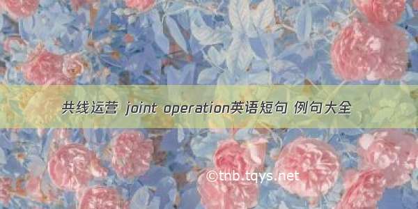 共线运营 joint operation英语短句 例句大全