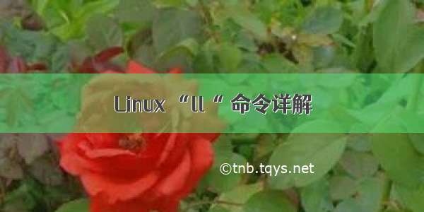 Linux “ll“ 命令详解