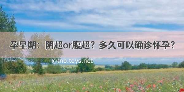 孕早期：阴超or腹超？多久可以确诊怀孕？