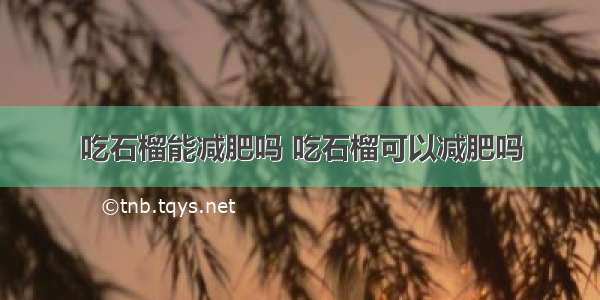 吃石榴能减肥吗 吃石榴可以减肥吗