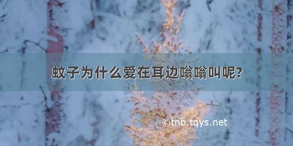 蚊子为什么爱在耳边嗡嗡叫呢?