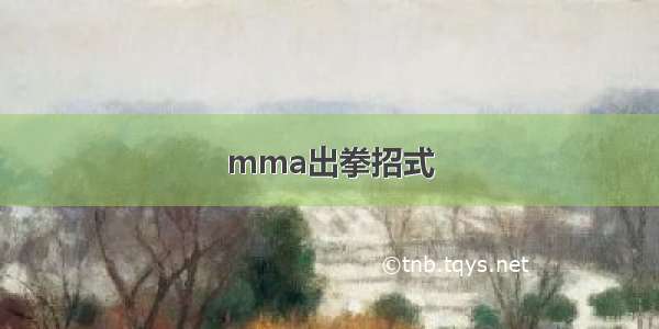 mma出拳招式