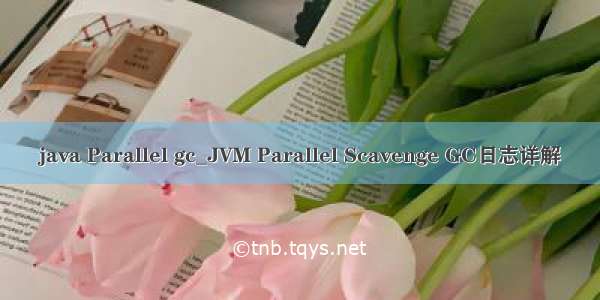 java Parallel gc_JVM Parallel Scavenge GC日志详解