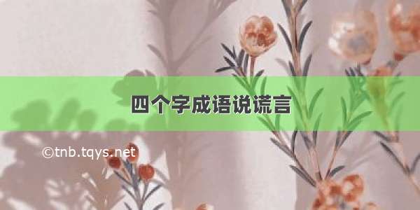 四个字成语说谎言