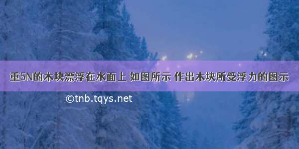 重5N的木块漂浮在水面上 如图所示 作出木块所受浮力的图示．