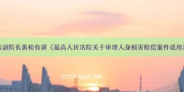 最高人民法院副院长黄松有就《最高人民法院关于审理人身损害赔偿案件适用法律若干问题