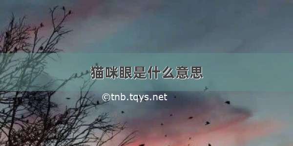 猫咪眼是什么意思