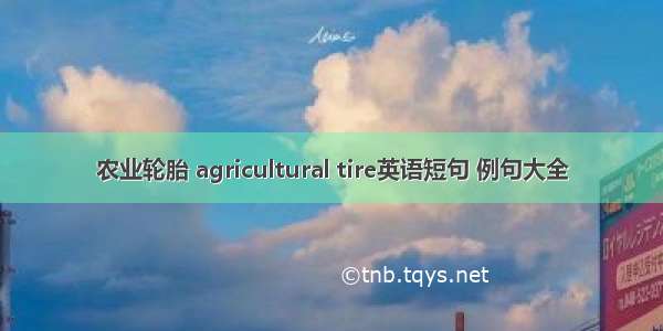 农业轮胎 agricultural tire英语短句 例句大全