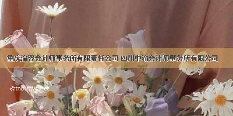 重庆渝咨会计师事务所有限责任公司 四川中渝会计师事务所有限公司