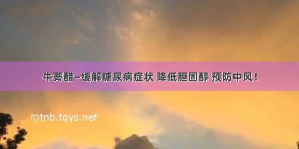 牛蒡醋—缓解糖尿病症状 降低胆固醇 预防中风！