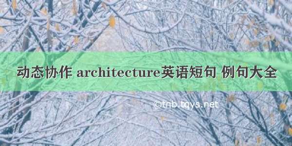 动态协作 architecture英语短句 例句大全