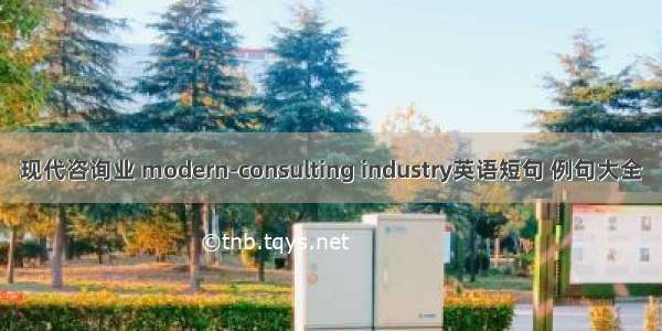 现代咨询业 modern-consulting industry英语短句 例句大全