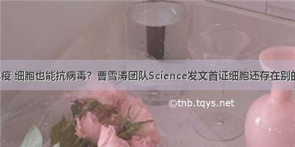 不依赖天然免疫 细胞也能抗病毒？曹雪涛团队Science发文首证细胞还存在别的“攻防系统”