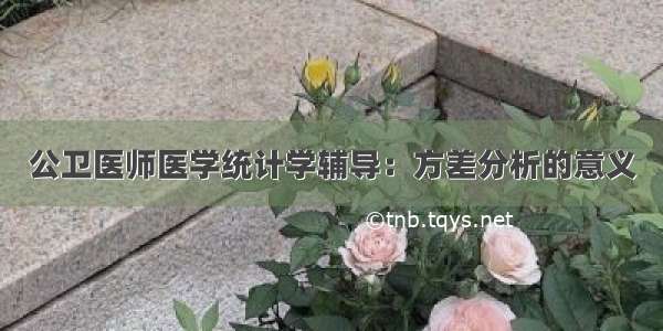 公卫医师医学统计学辅导：方差分析的意义