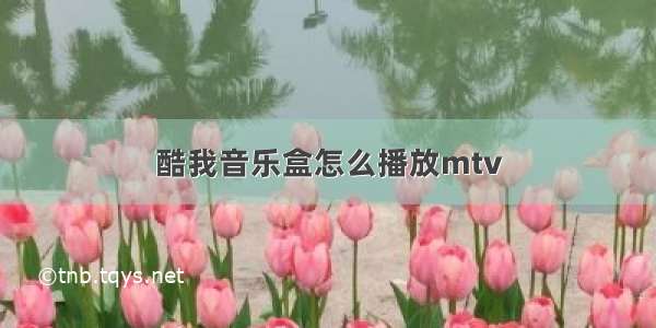 酷我音乐盒怎么播放mtv