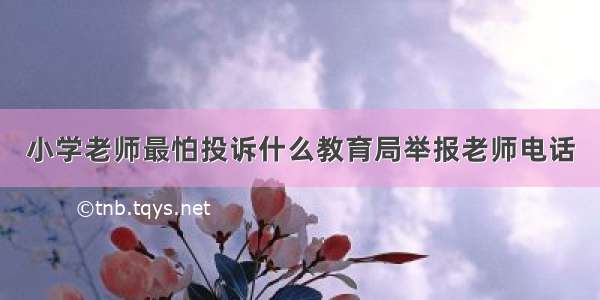 小学老师最怕投诉什么教育局举报老师电话