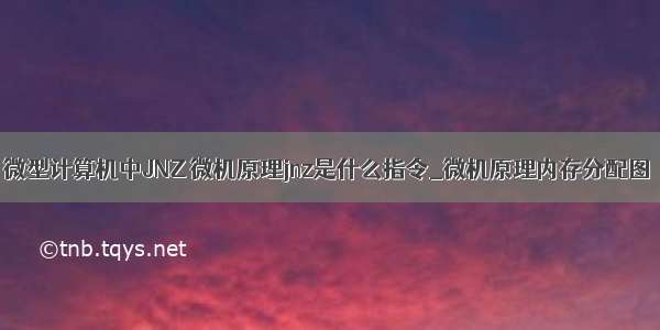 微型计算机中JNZ 微机原理jnz是什么指令_微机原理内存分配图