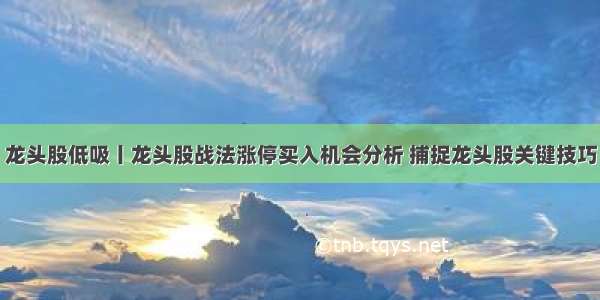 龙头股低吸丨龙头股战法涨停买入机会分析 捕捉龙头股关键技巧