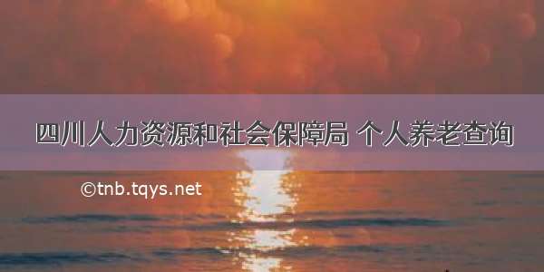 四川人力资源和社会保障局 个人养老查询