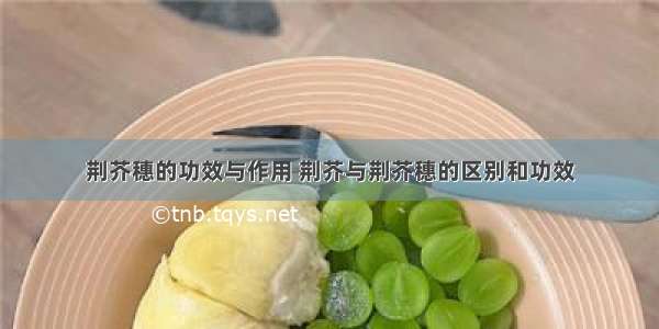 荆芥穗的功效与作用 荆芥与荆芥穗的区别和功效