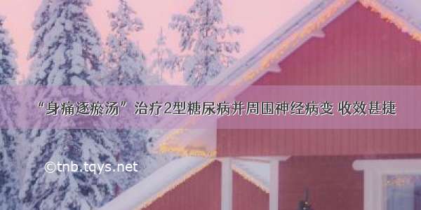 “身痛逐瘀汤”治疗2型糖尿病并周围神经病变 收效甚捷