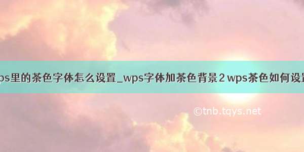 wps里的茶色字体怎么设置_wps字体加茶色背景2 wps茶色如何设置