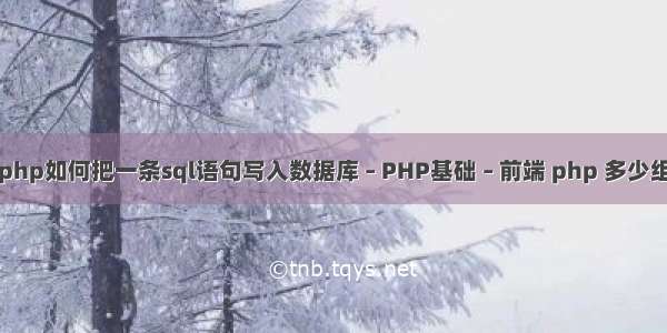 php如何把一条sql语句写入数据库 – PHP基础 – 前端 php 多少组