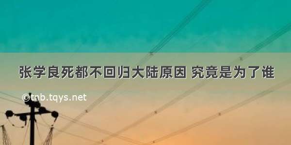 张学良死都不回归大陆原因 究竟是为了谁