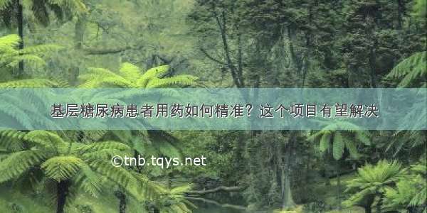 基层糖尿病患者用药如何精准？这个项目有望解决