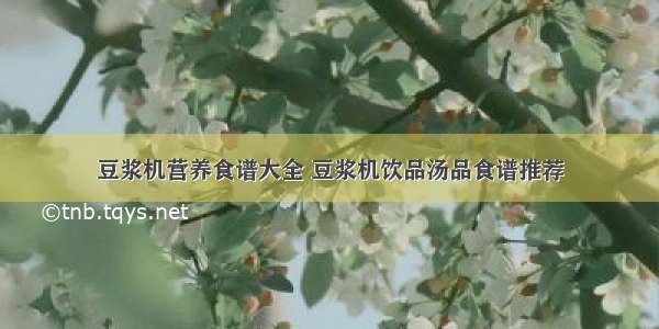 豆浆机营养食谱大全 豆浆机饮品汤品食谱推荐