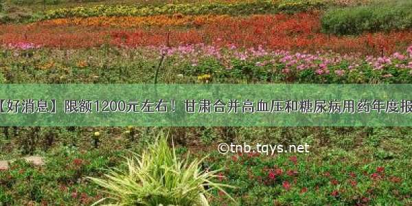 【好消息】限额1200元左右！甘肃合并高血压和糖尿病用药年度报销