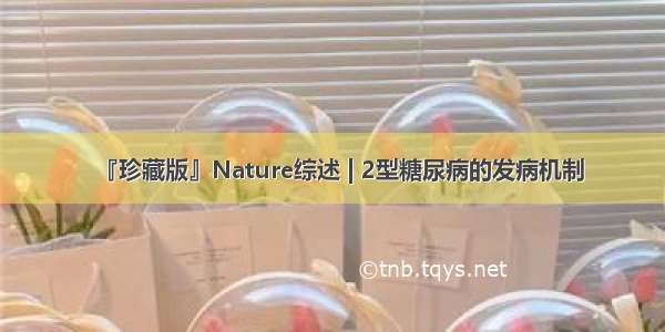 『珍藏版』Nature综述 | 2型糖尿病的发病机制