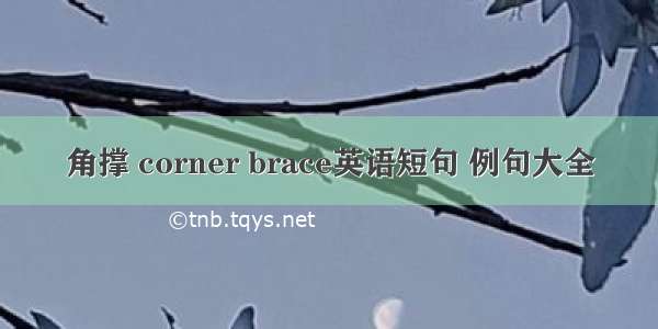 角撑 corner brace英语短句 例句大全