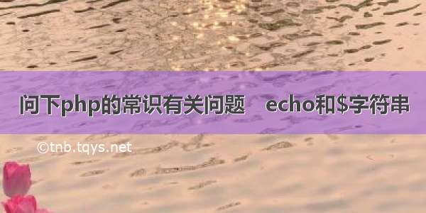 问下php的常识有关问题　echo和$字符串