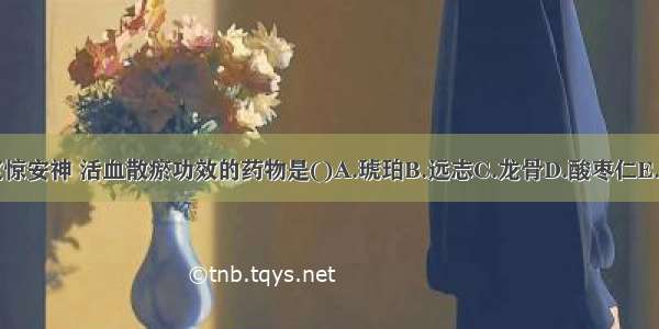 具有定惊安神 活血散瘀功效的药物是()A.琥珀B.远志C.龙骨D.酸枣仁E.合欢皮