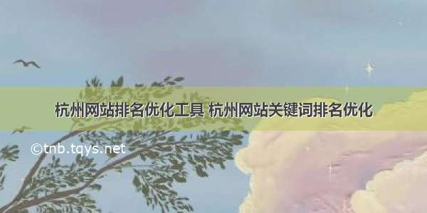 杭州网站排名优化工具 杭州网站关键词排名优化