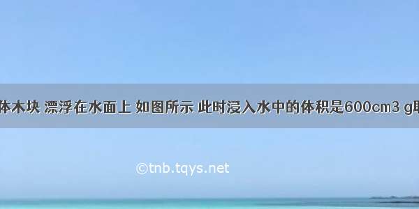 实心正方体木块 漂浮在水面上 如图所示 此时浸入水中的体积是600cm3 g取10N/kg．