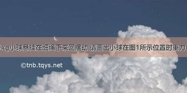 （1）m=1.5kg小球悬挂在细绳下来回摆动 请画出小球在图1所示位置时重力G的示意图．（