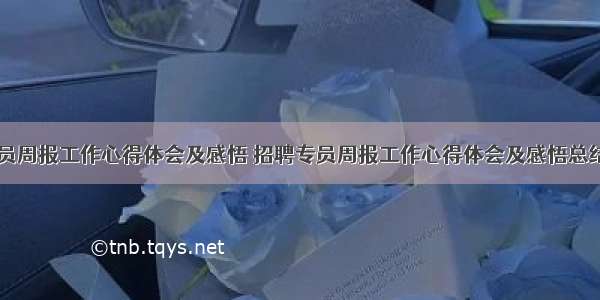 招聘专员周报工作心得体会及感悟 招聘专员周报工作心得体会及感悟总结(七篇)