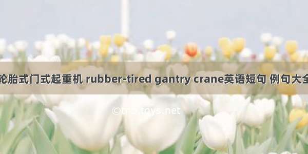 轮胎式门式起重机 rubber-tired gantry crane英语短句 例句大全