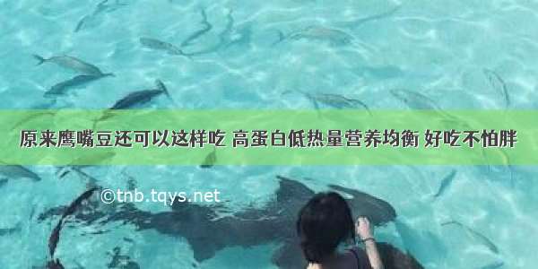 原来鹰嘴豆还可以这样吃 高蛋白低热量营养均衡 好吃不怕胖