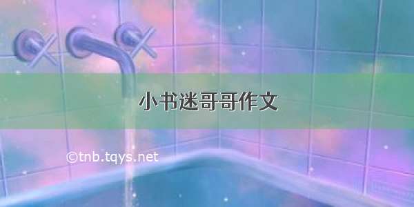 小书迷哥哥作文