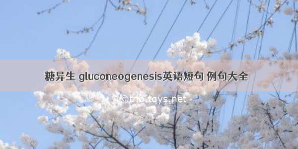 糖异生 gluconeogenesis英语短句 例句大全
