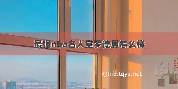 最强nba名人堂罗德曼怎么样