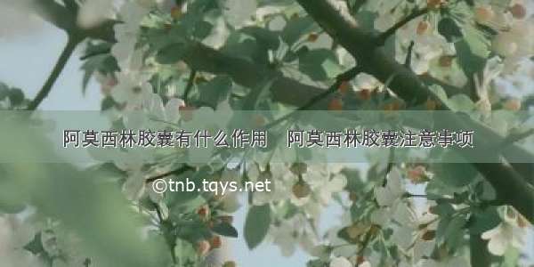 阿莫西林胶囊有什么作用	阿莫西林胶囊注意事项