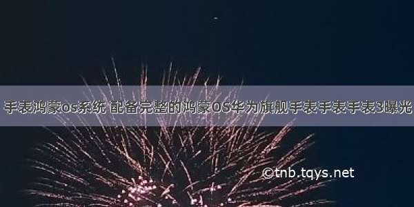 手表鸿蒙os系统 配备完整的鸿蒙OS华为旗舰手表手表手表3曝光