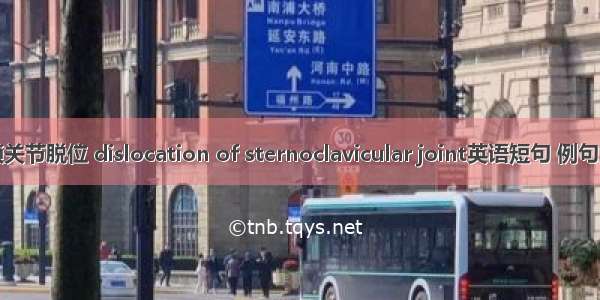 胸锁关节脱位 dislocation of sternoclavicular joint英语短句 例句大全