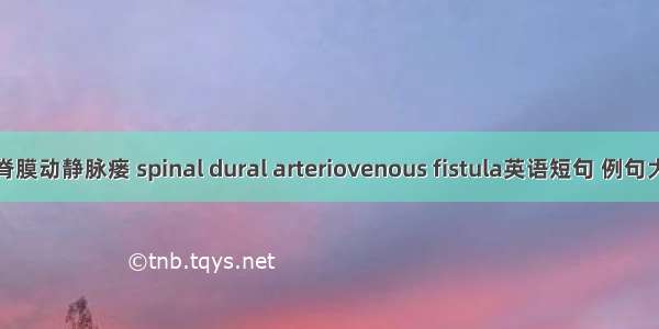 硬脊膜动静脉瘘 spinal dural arteriovenous fistula英语短句 例句大全