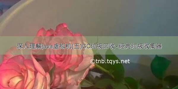 深入理解java虚拟机(五)GC垃圾回收-经典垃圾收集器