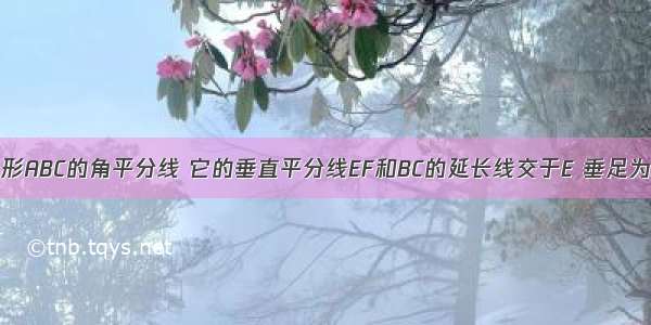 如图 AD是三角形ABC的角平分线 它的垂直平分线EF和BC的延长线交于E 垂足为F 连接AE.说明